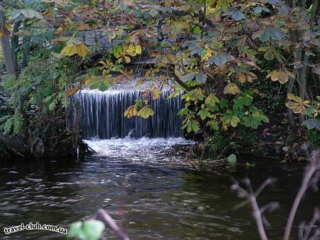  Ирландия  Дублин  Фотосессия на Додер (Dodder river), Буши парк (Bushy Park, Templeogue) Ок