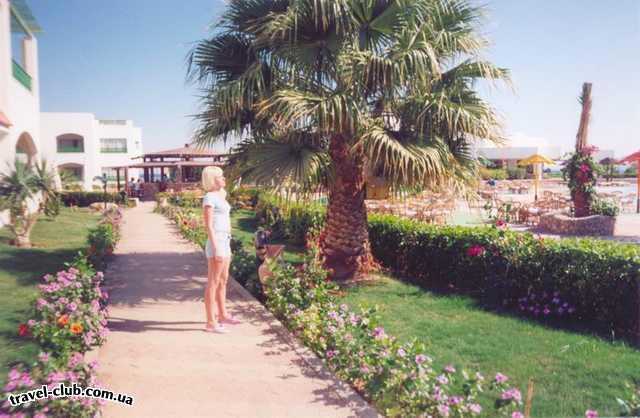  Египет  Шарм Эль Шейх  Coral beach montazah 4*  