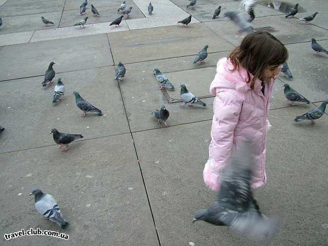  Англия  Лондон  Trafalgar Square