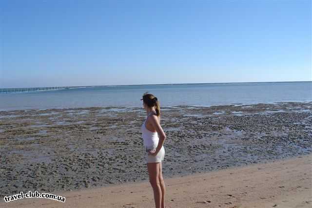  Египет  Шарм Эль Шейх  Lti grand azur 5*  тот самый пляж :( сейчас отлив, поэтому видно коралл. а в