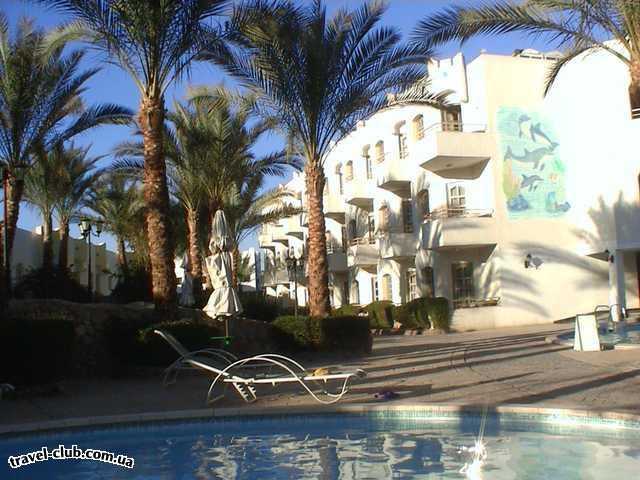  Египет  Шарм Эль Шейх  Days inn gafy resort 4*  