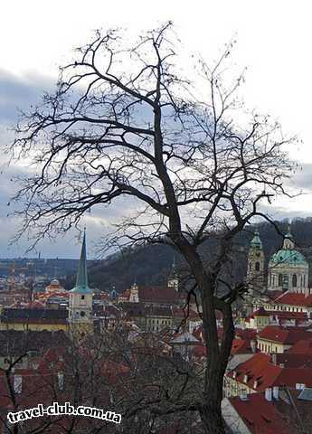  Чехия  Прага  Вид на Прагу 