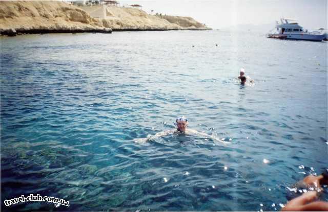  Египет  Шарм Эль Шейх  Royal Rojana Resort 5*  Море в Египте обалденное