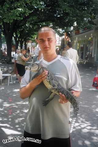  Украина  А там еще ходила большая крокодила...