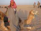  Тунис  Сусс  катались на верблюдах