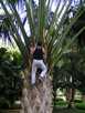> Таиланд > Паттайя  Покорение самой большой пальмы (Нонг-Нуч)