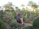 > Египет > Шарм Эль Шейх > Sonesta beach 5*  мой любимый кактусовый сад