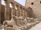 > Египет > Достопримечательности > Карнакский храм (Луксор)  Интересное стадо баранов сидит в тени