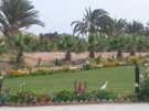 > Египет > Хургада > Hilton plaza 5*  Большая территория просто  рай для уединения и отдыха 