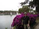  Египет  Асуан  Ботанитческий сад на отдельном острове