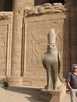  Египет  Достопримечательности  Круиз  по Нилу  Сокол Хорос