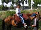  Киргизия, оз.Иссык-Куль  отель Голубой Иссык-Куль  конная прогулка...пожалуйста.