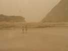  Египет  Шарм Эль Шейх  Dreams beach 5*  Вот он настоящий Хамсин....аж стражников сдувает с верб