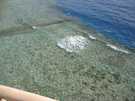 > Египет > Шарм Эль Шейх > Dreams beach 5*  Над кораллами находится понтон, по которому вы доходит