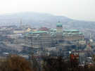  Венгрия  Будапешт  Платанус ***  Вид на королевский дворец и собор Матяша с горы Гелерт
