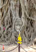 > Таиланд > Аютхайя  Храм Wat Mahathan голова Буды оплетенная корнями дерева - ме