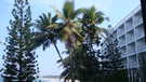 > Шри-Ланка  Вид на океан из балкончика гостиницы Mount Lavinia Hotel