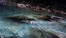 > Хорватия  река Тара - на ней рафтинг был, вода чистейшая, сам пил ;-