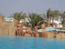 > Египет > Шарм Эль Шейх > Sultan Gardens Holiday Inn 5*  