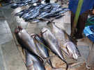  Мальдивские о-ва  Мале  На рыбном рынке