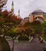  Турция  Стамбул  Lady Diana 4*  Утро... 8 часов парк перед Святой Софией