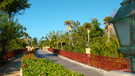  Доминикана  Punta Cana  Gran Bahia Principe 5*   отель в зелени