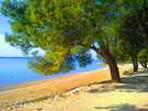  Хорватия  Цриквеница песчаные пляжи