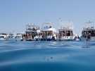  Египет  Хургада  Melia pharaon 5*  Дайвинг