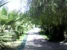  Турция  Алания  Green Fugla Beach (4 ****)  Территория отеля