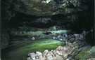 > США > New Mexico  Национальный парк El Malpais. Ace Cave.