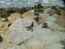 США  New Mexico  Национальный парк El Morro - долгая дорога по вершине хреб�