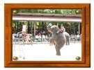 > Таиланд > Паттайя  Слоны играют в баскетбол