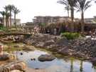  Египет  Шарм Эль Шейх  Redisson Golden Resort  Грот с бассейном
