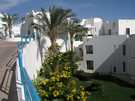 > Египет > Шарм Эль Шейх > Royal Rojana Resort 5*  :))))