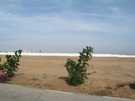 > Египет > Шарм Эль Шейх > Royal Rojana Resort 5*  Вокруг пустыня