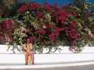  Египет  Хургада  Regina style 4*  Маша прячется от солнца среди цветущих кустов