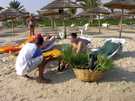 > Тунис > Монастир > Houda Golf Beach  вот сейчас мы купим пальмы, которые потом котрабандой 
