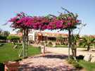 > Египет > Шарм Эль Шейх > Hauza Beach Resort 4+ (Ex. Calimera)  Цветочная арка