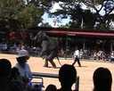  Таиланд  Паттайя  Паттайя Парк  На шоу слонов