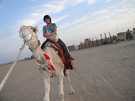 > Египет > Хургада > Sultan beach 4*  Ксюха на верблюде