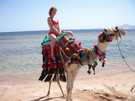 > Египет > Шарм Эль Шейх > Hauza Beach Resort 4+ (Ex. Calimera)  Прокатиться на верблюде)))