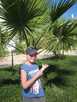  Египет  Шарм Эль Шейх  Royal Rojana Resort 5*  Ето пальма.
