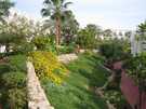  Египет  Шарм Эль Шейх  Savoy 5*  Номера с видом на сад, прекрасно!!!