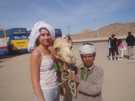 > Египет > Хургада > Sea Gull 4*  Остановка по дороге в Луксор