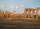  Египет  Хургада  Sea Gull 4*  Луксорский храм, вид из автобуса