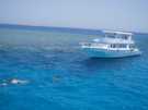 > Египет > Хургада > Sea Gull 4*  Поездка на райский остров