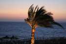  Египет  Шарм Эль Шейх  Coral beach tiran 4*  ветер