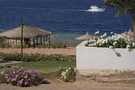 > Египет > Шарм Эль Шейх > Coral beach tiran 4*  фокус в центре...