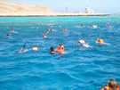 > Египет > Хургада > Ali-Baba 4*+  Коралловые рифы