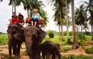 > Таиланд > Паттайя  В тае можно покататься на слоне